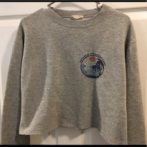 brandy melville crop sweatshirt